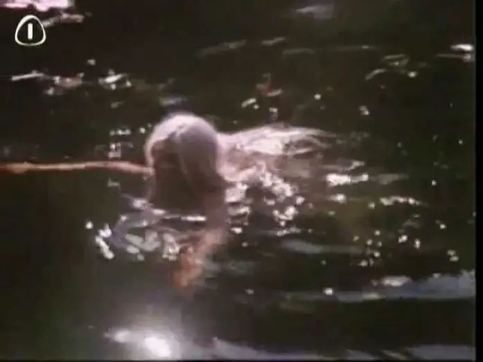 Video for the film Karoliine's Silver Yarn — Näkilaul - Karoliine Hõbelõng