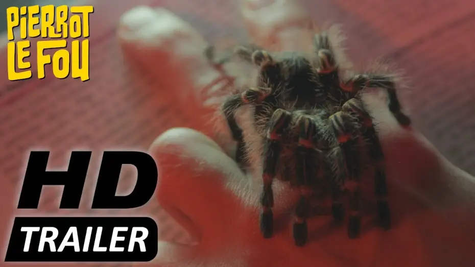 Video for the film The Editor — THE EDITOR | Trailer deutsch | Jetzt erhältlich!