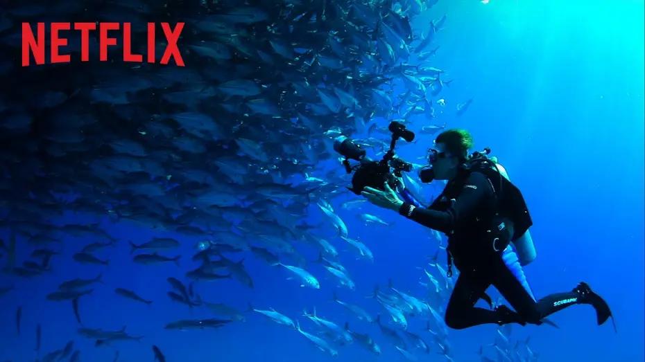 Video for the film Mission Blue — Offizieller Trailer [OmU]