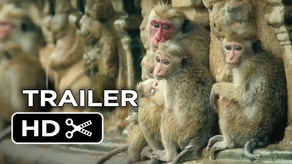 Video for the film Monkey Kingdom — Monkey Kingdom Official Trailer #1 (2015) - Disneynature Documentary HD