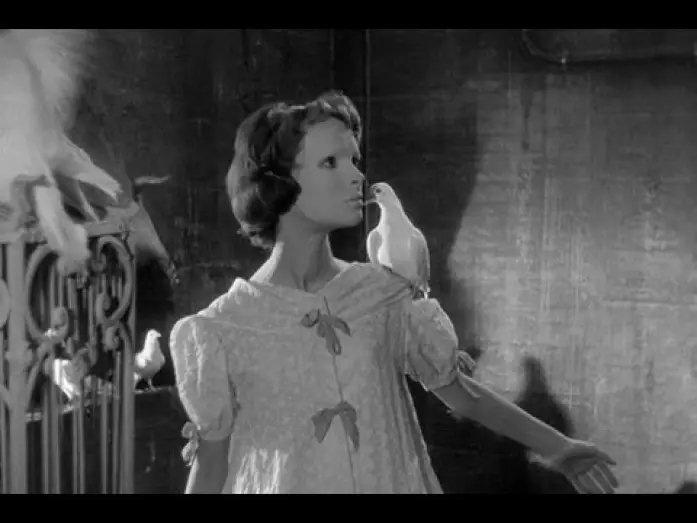 Video for the film Eyes Without a Face — Sam Hamm on Eyes Without a Face
