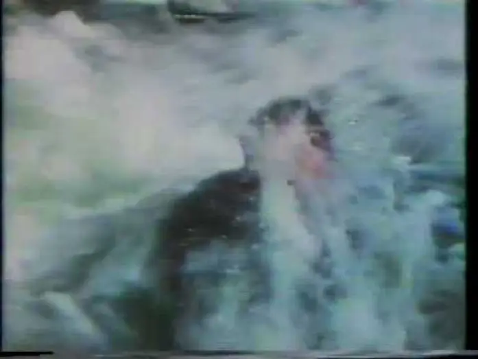 Video for the film Beyond the Poseidon Adventure — Beyond the Poseidon Adventure 1979 TV trailer