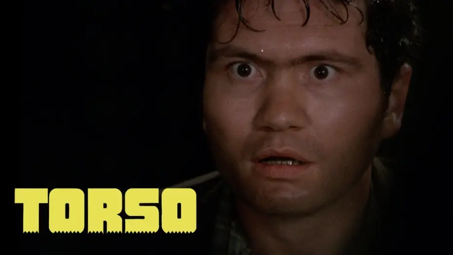 Video for the film Torso — Hide and seek