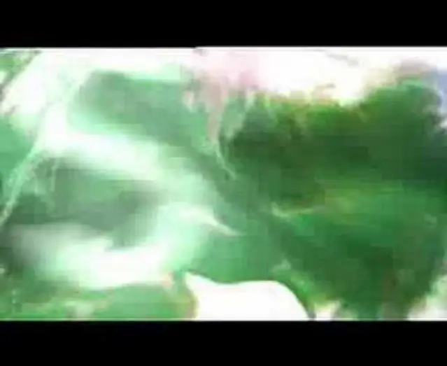 Video for the film Infection — Infection (Trailer - ENG)