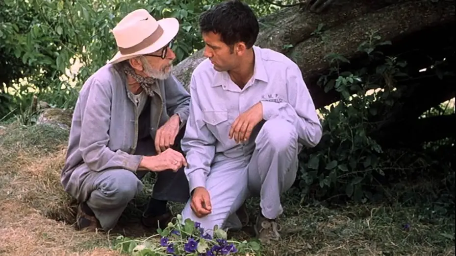 Video for the film Greenfingers — Greenfingers - Harte Jungs und zarte Triebe - Trailer