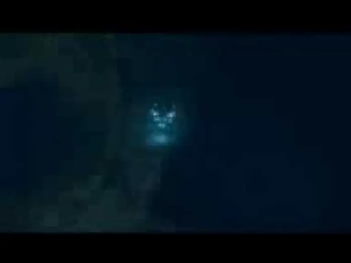 Video for the film Megalodon — MEGALODON THE MOVIE