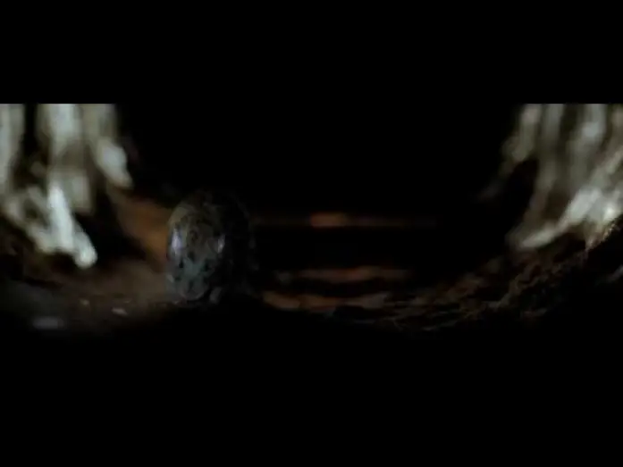 Video for the film The Descent: Part 2 — Exclusive Clip