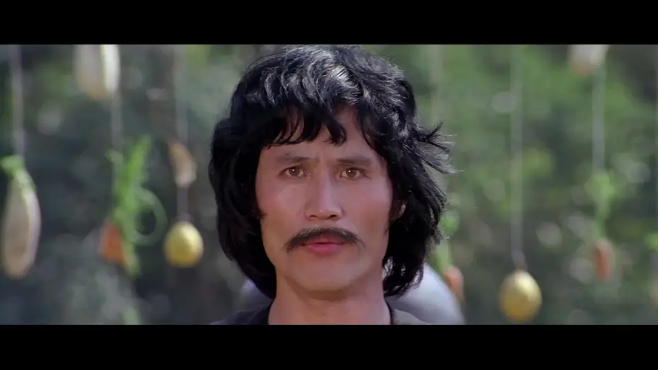 Video for the film The Cub Tiger from Kwang Tung — Jackie Chan - Der Meister mit den gebrochenen Händen