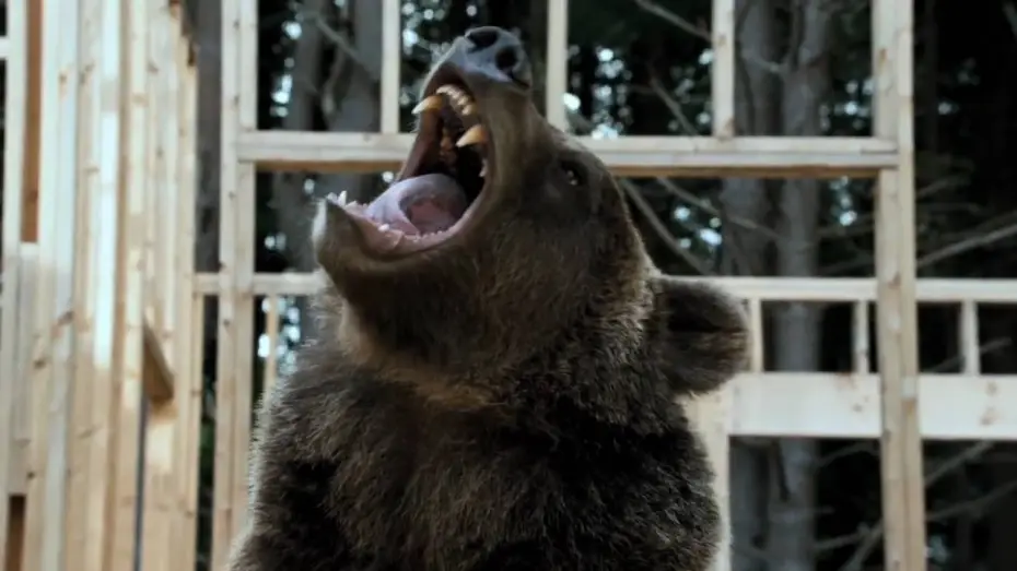 Video for the film Furry Vengeance — Trailer ufficiale di PUZZOLE ALLA RISCOSSA - Dal 7 maggio al cinema