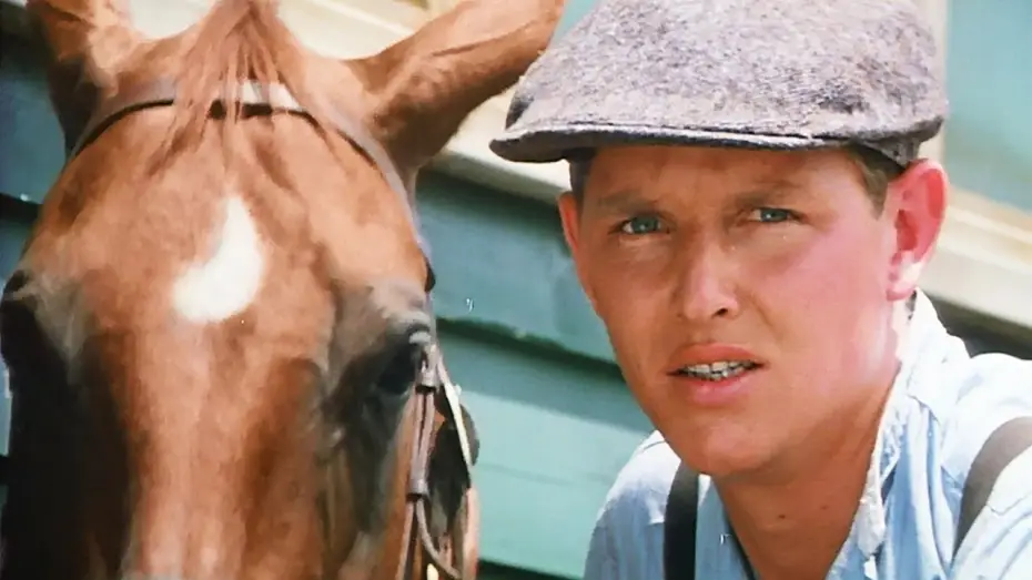 Video for the film Phar Lap — Phar Lap (1983) ORIGINAL TRAILER