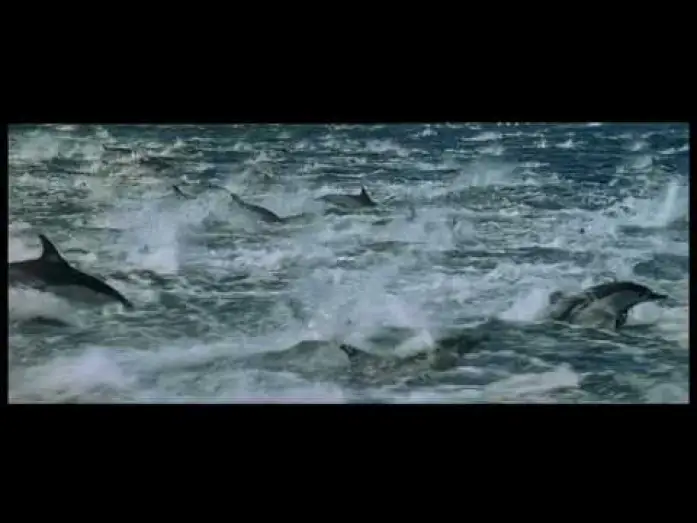 Video for the film Oceans — OCEANOS