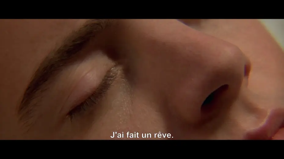 Video for the film Blue Velvet — BLUE VELVET - Bande Annonce [VOST]