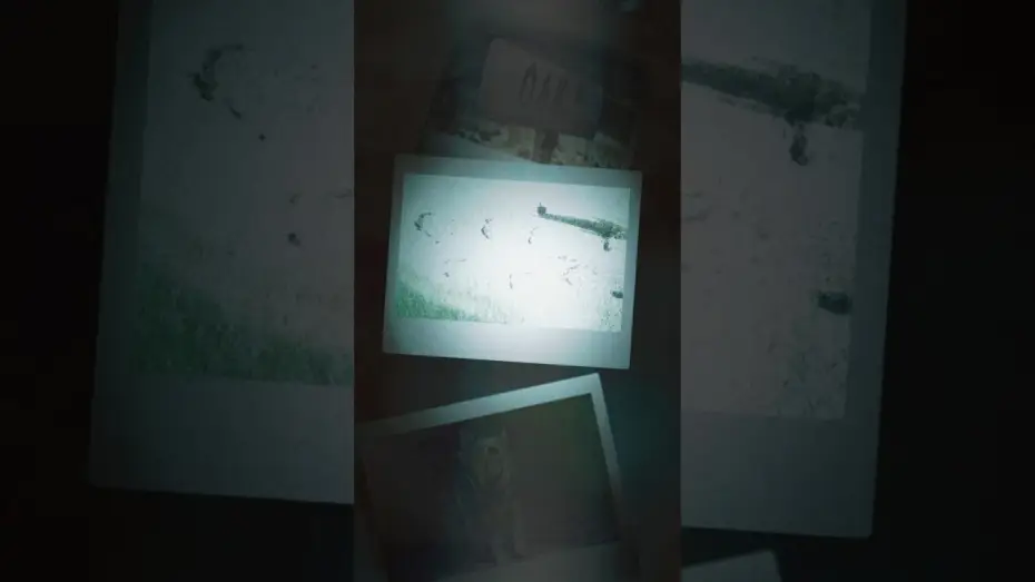 Video for the film The End of Oak Street — What’s next?