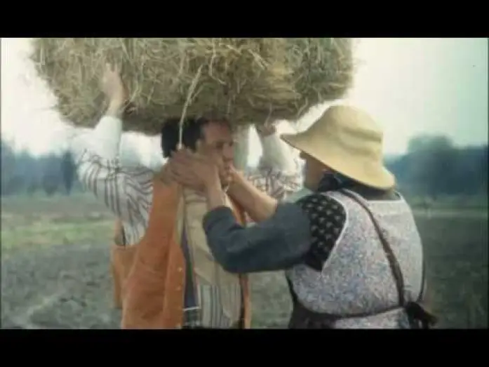 Video for the film The Country Boy — Trailer Il Ragazzo Di Campagna (Renato Pozzetto) by IlFilmografo