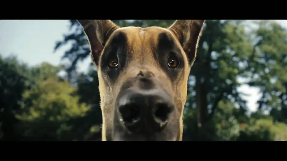 Video for the film Marmaduke — Marmaduke Trailer [german] HD