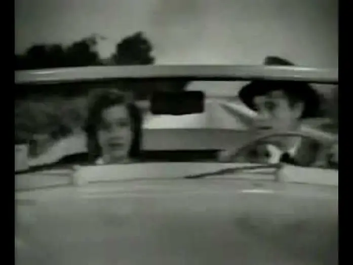 Video for the film Los Angeles Plays Itself — Los Angeles Plays Itself / trailer