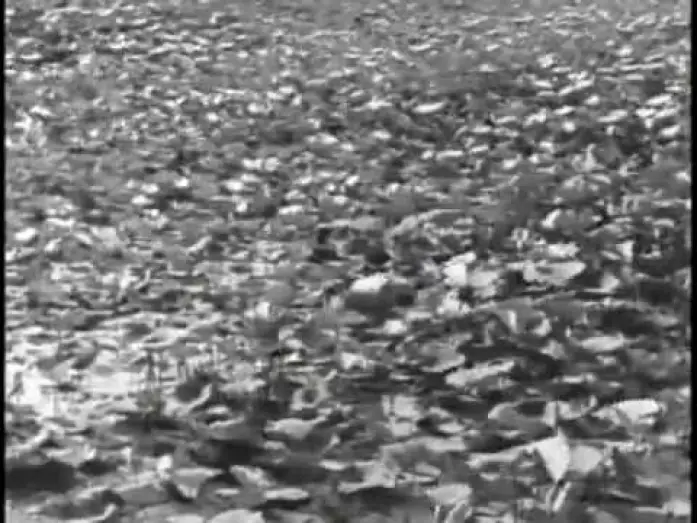 Video for the film Pather Panchali — Pather Panchali  the rain scene