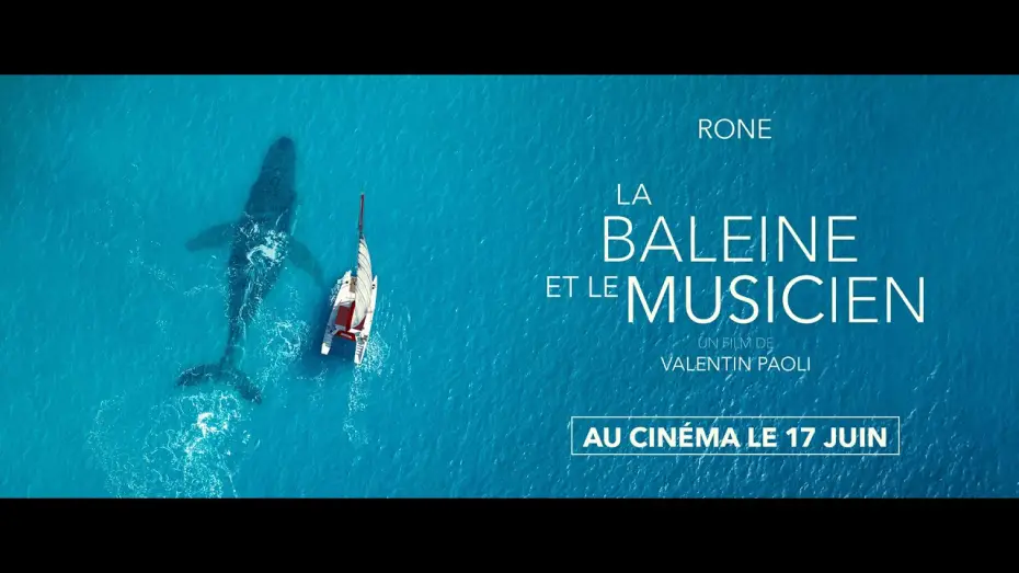 Video for the film The Whale and the Musician — LA BALEINE ET LE MUSICIEN - Bande Annonce
