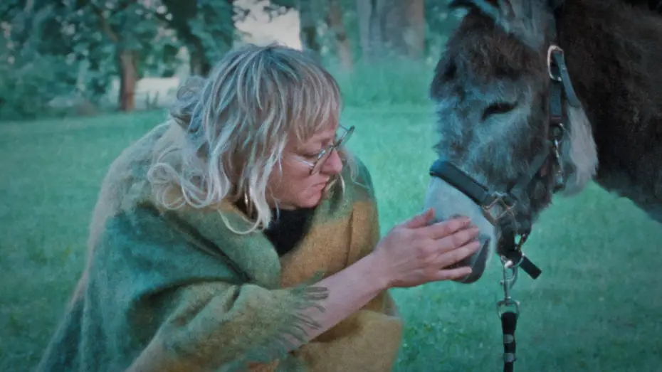 Video for the film Donkey Days — Donkey Days | Trailer | New Directors/New Films 2026