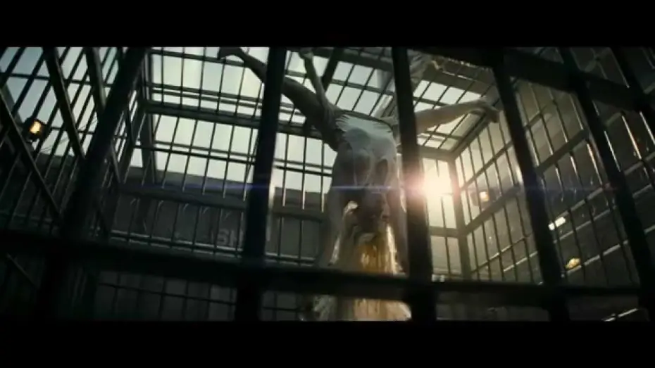Video for the film Suicide Squad — Escuadrón Suicida - Trailer Oficial Comic-con español HD