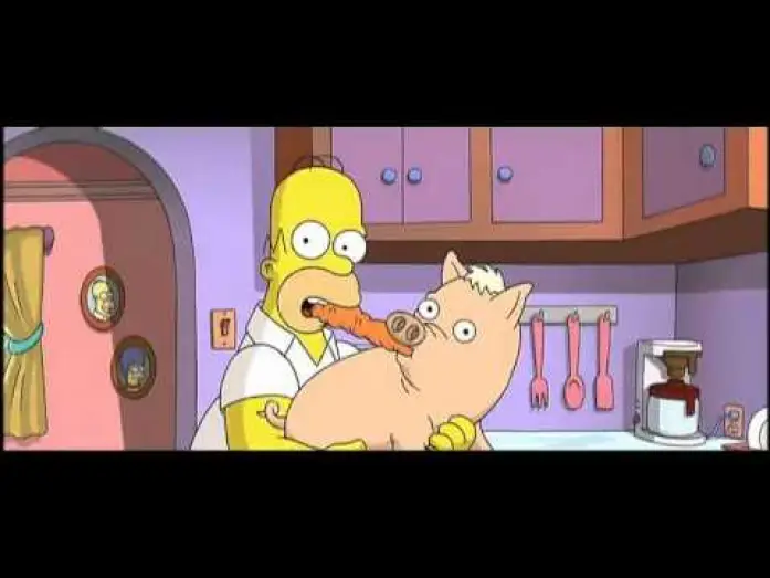 Video for the film The Simpsons Movie — LES SIMPSON - LE FILM (bande-annonce)