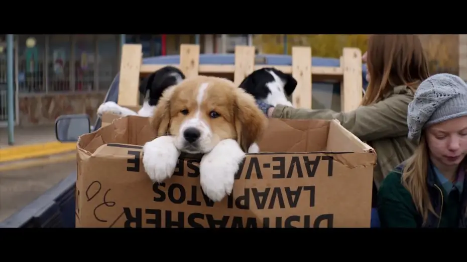 Video for the film A Dog's Purpose — MES VIES DE CHIEN - Bande annonce - VF