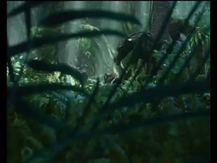 Video for the film Avatar — Pandora VOST