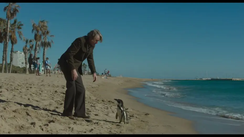Video for the film The Penguin Lessons — Clip