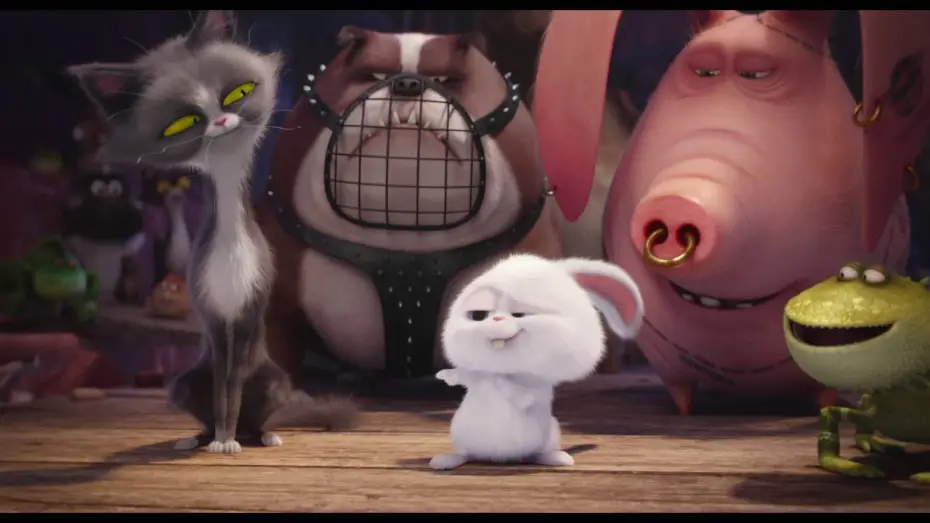Video for the film The Secret Life of Pets — Comme Des Bêtes / Extrait "L'incident de Pompon" VF [Au cinéma le 27 juillet]
