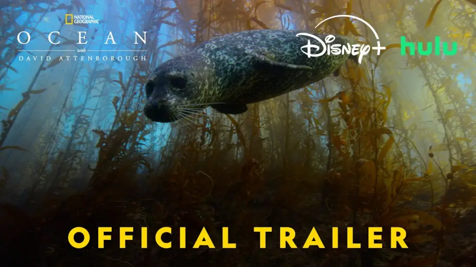 Video for the film Ocean with David Attenborough — Official US Trailer