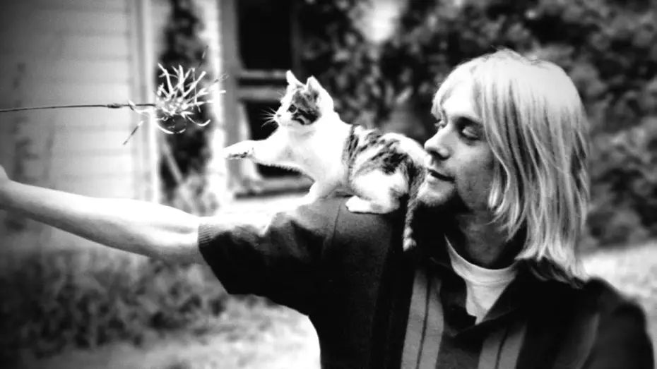 Video for the film Cobain: Montage of Heck — Cobain: Montage of Heck - Trailer
