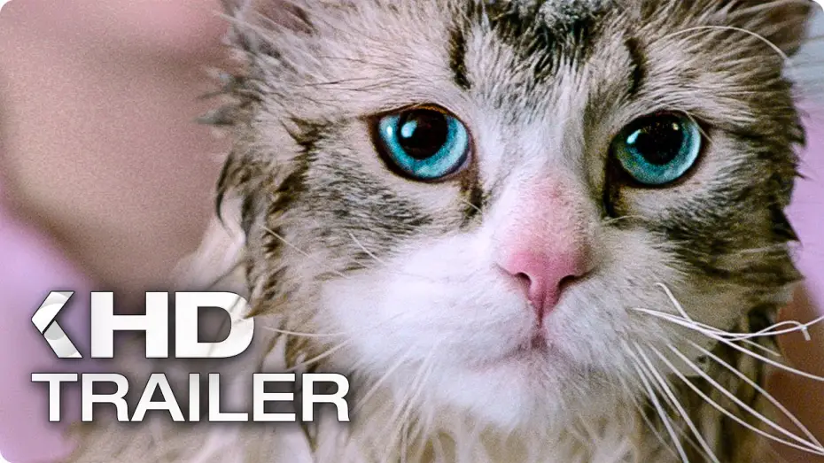 Video for the film Nine Lives — NINE LIVES Exklusiv Trailer German Deutsch (2016)