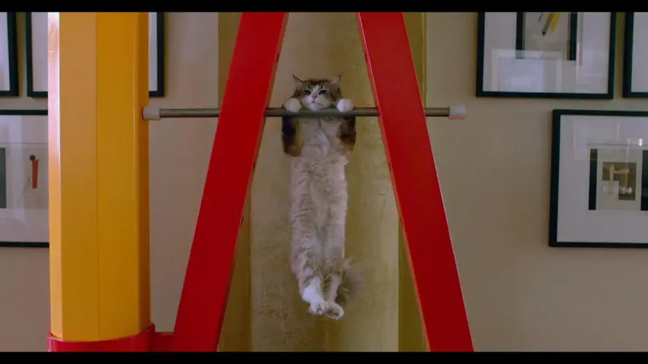 Video for the film Nine Lives — JAK ZOSTAĆ KOTEM - oficjalny zwiastun nr 2