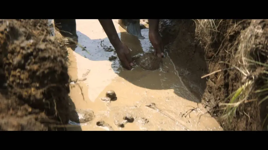 Video for the film Ladygrey — LadyGrey - Bande Annonce VOST