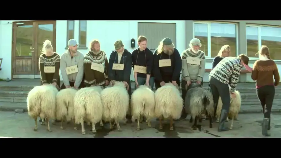 Video for the film Rams — STURE BÖCKE Trailer