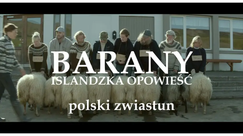 Video for the film Rams — Barany. Islandzka opowieść - zwiastun PL, zobacz na VOD, na DVD od 9 września 2016