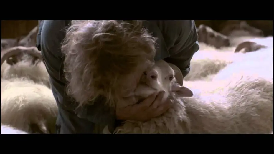 Video for the film Rams — RAMS - Trailer italiano