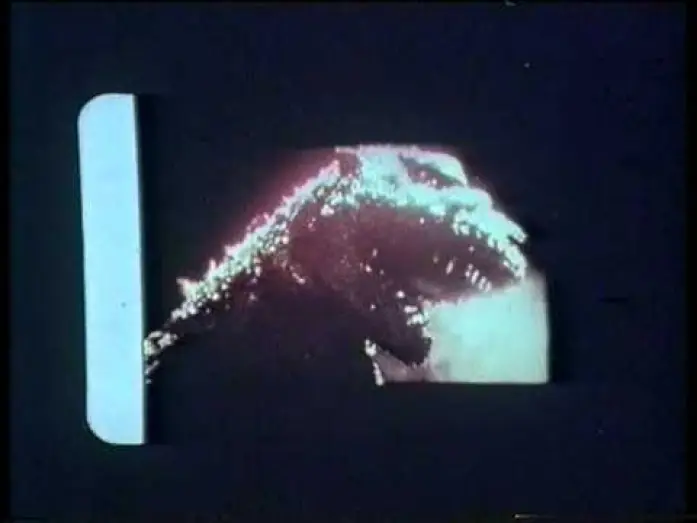 Video for the film Godzilla — GODZILLA DI LUIGI COZZI (1977)