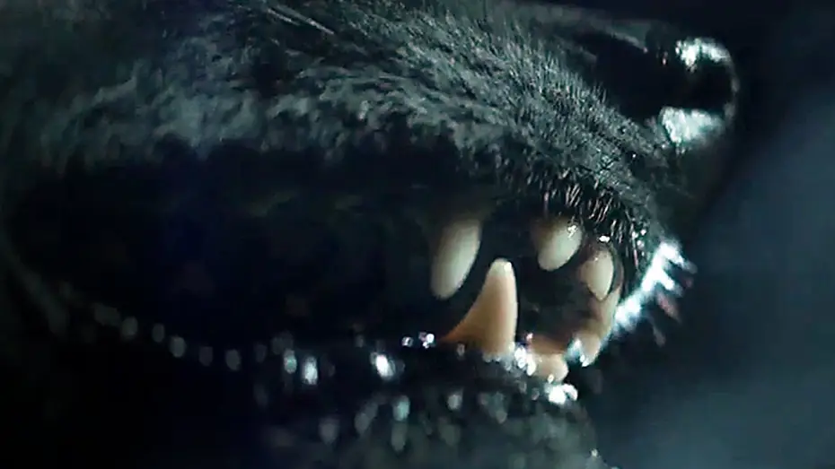 Video for the film The Pack — THE PACK Trailer (2015) Animal Horror Remake