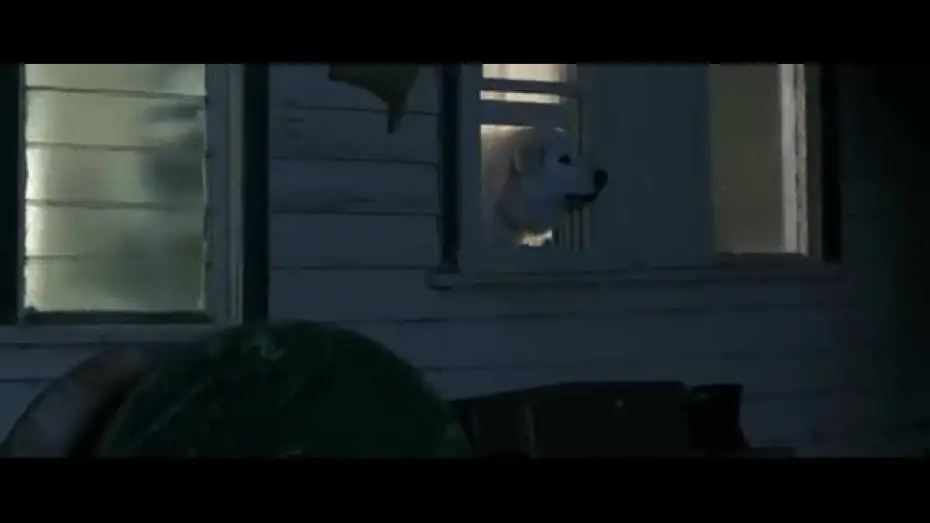Video for the film Oddball — Giotto l'amico dei pinguini, dal 29 ottobre al cinema - Trailer Ufficiale