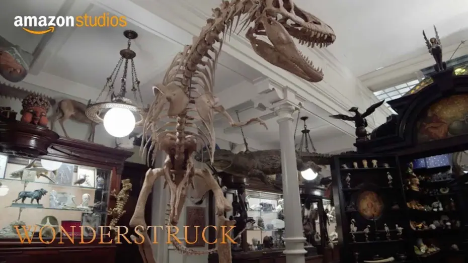 Video for the film Wonderstruck — Wonderstruck - Featurette: Cabinet of Wonders | Amazon Studios