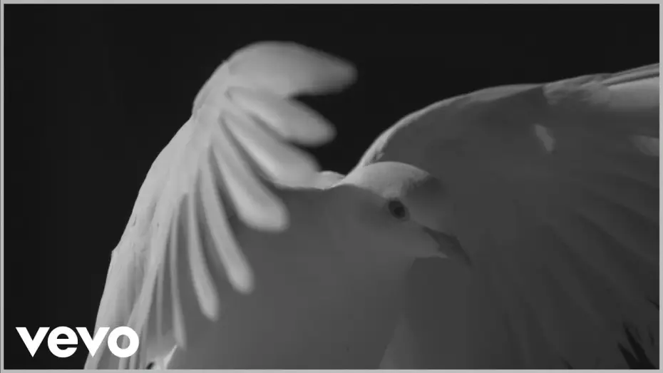 Video for the film Les Enfoirés 2016 - Au rendez-vous des Enfoirés — Les Enfoirés 2016 - Liberté (Clip officiel)