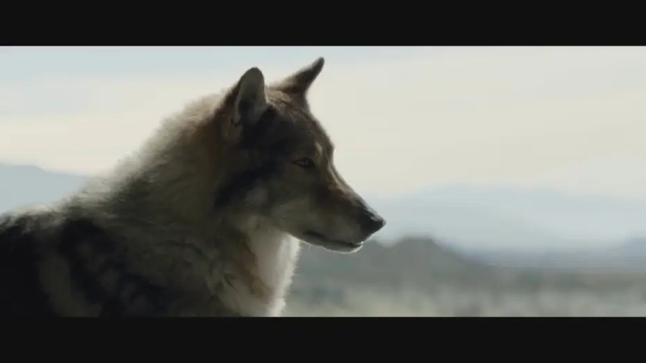 Video for the film Alpha — ALPHA - Filmclip deutsch "Friedensangebot" | Ab 7.9.2018 nur im Kino