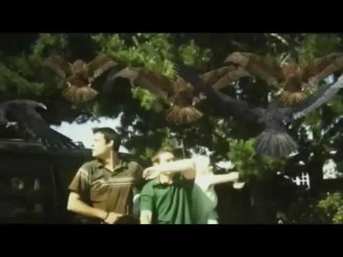 Video for the film Birdemic: Shock and Terror — Birdemic-The most epic scene ever filmed