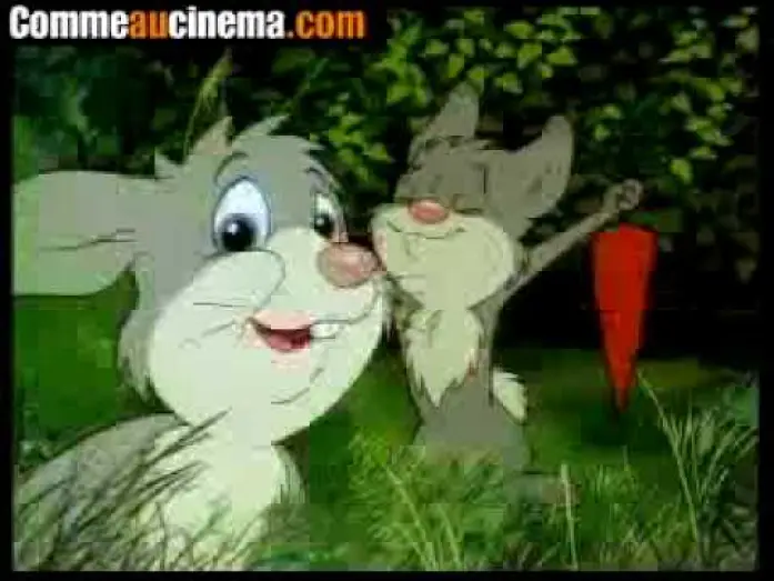 Video for the film The Seventh Brother — Le 7ème Petit Frère ( 1995 ) French