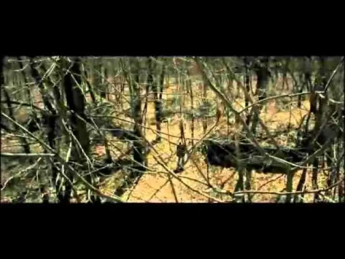 Video for the film 6 Souls — SHELTER Trailer deutsch - Ab 3.Dezember 2010 auf DVD und BluRay
