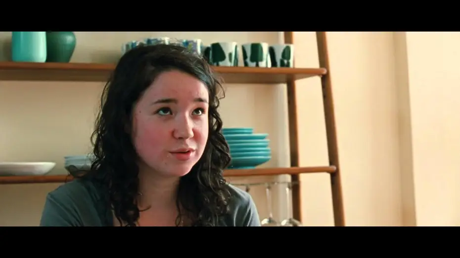 Video for the film Please Give — Please Give - Trailer