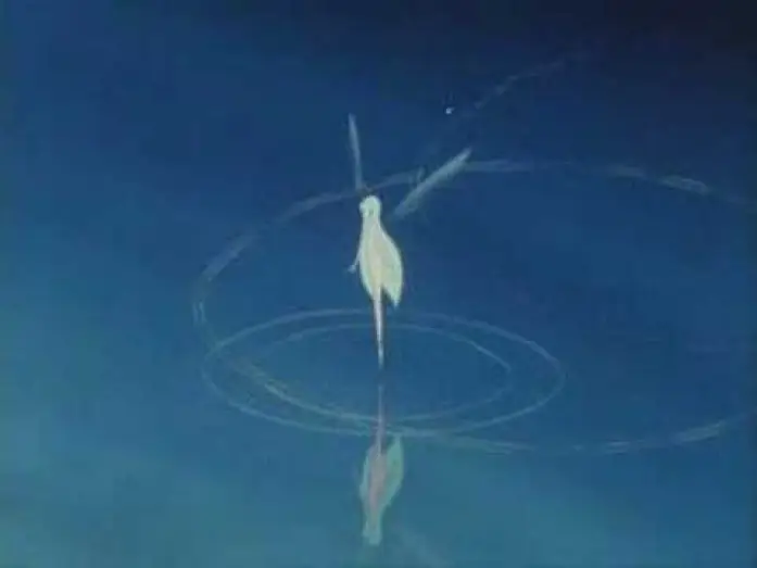 Video for the film Sea Prince and the Fire Child — Trailer for Legend of Sirius (1981)