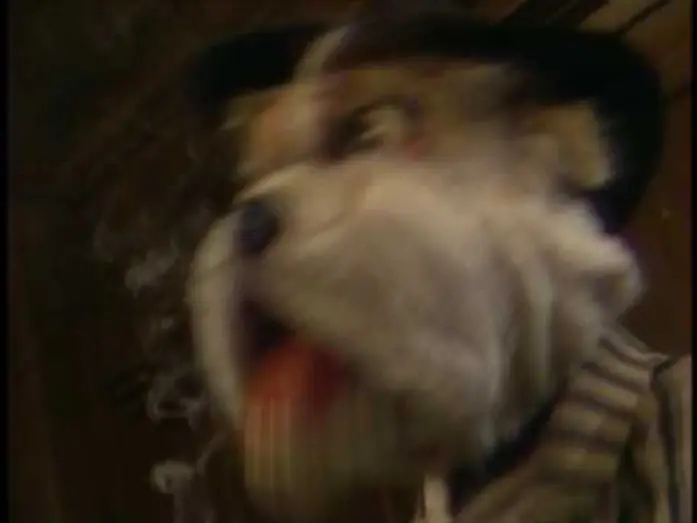 Video for the film Dog City — Trailer - Dog City - The Jim Henson Company