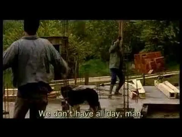 Video for the film Dog Pound — La Perrera (The Dog Pound) - Trailer Official